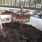 Pflanzenstab mit Pflanzenschild zum Beschriften